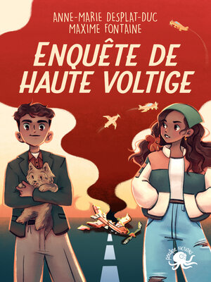 cover image of Enquête de haute voltige – Lecture roman jeunesse enquête – Dès 9 ans